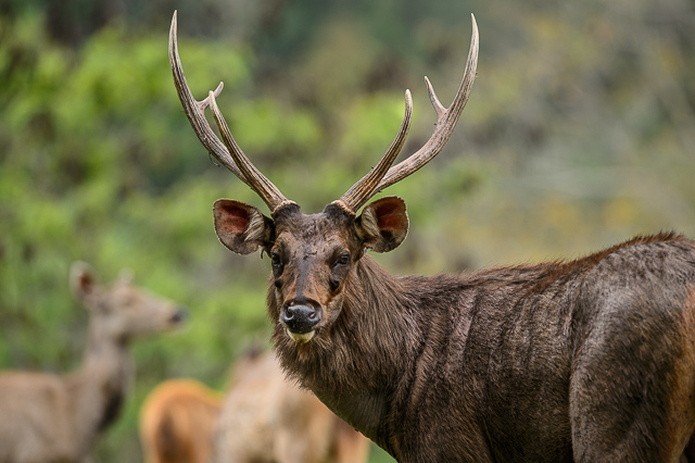 Image of Bor Tiger Reserve