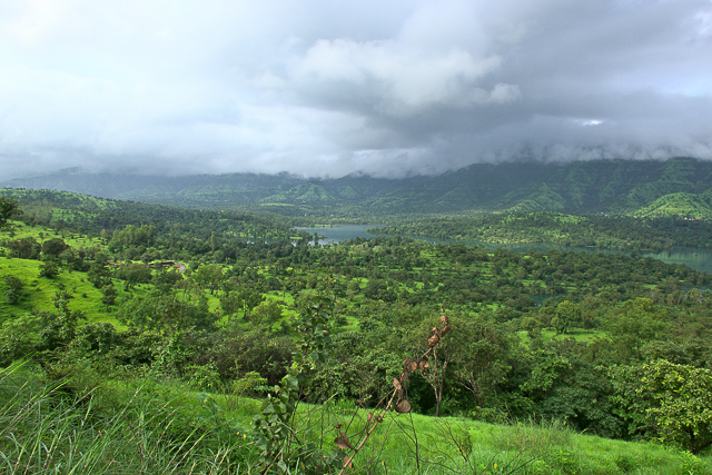 Image of Koyna Wildlife Sanctuary 