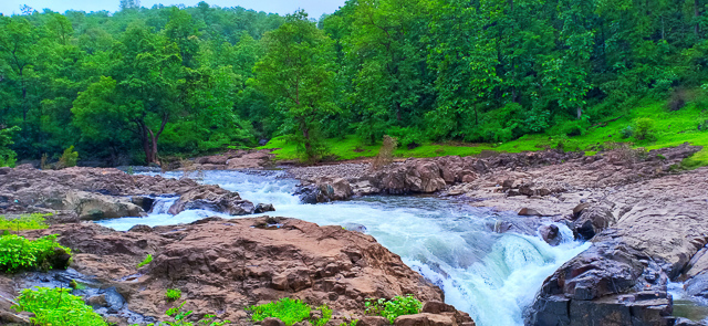 Image of Melghat Tiger Reserve 